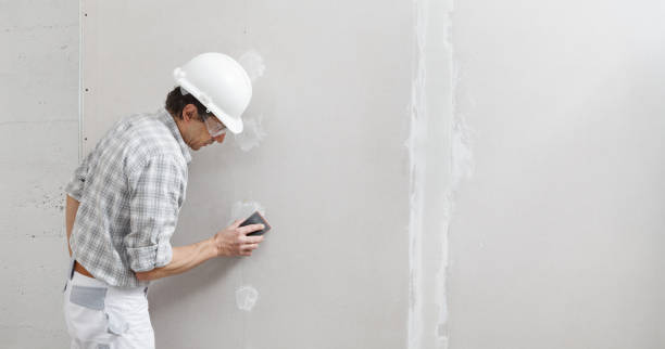 Best Crawl Space Mold Remediation  in Bertram, TX
