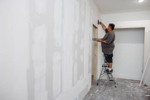 Best Mold Odor Removal Services  in Bertram, TX