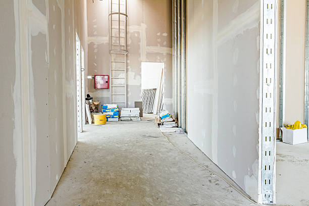 Best Mold Remediation for Healthcare Facilities  in Bertram, TX