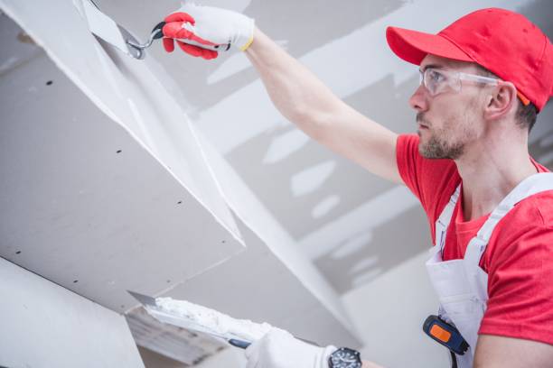Best Black Mold Removal  in Bertram, TX